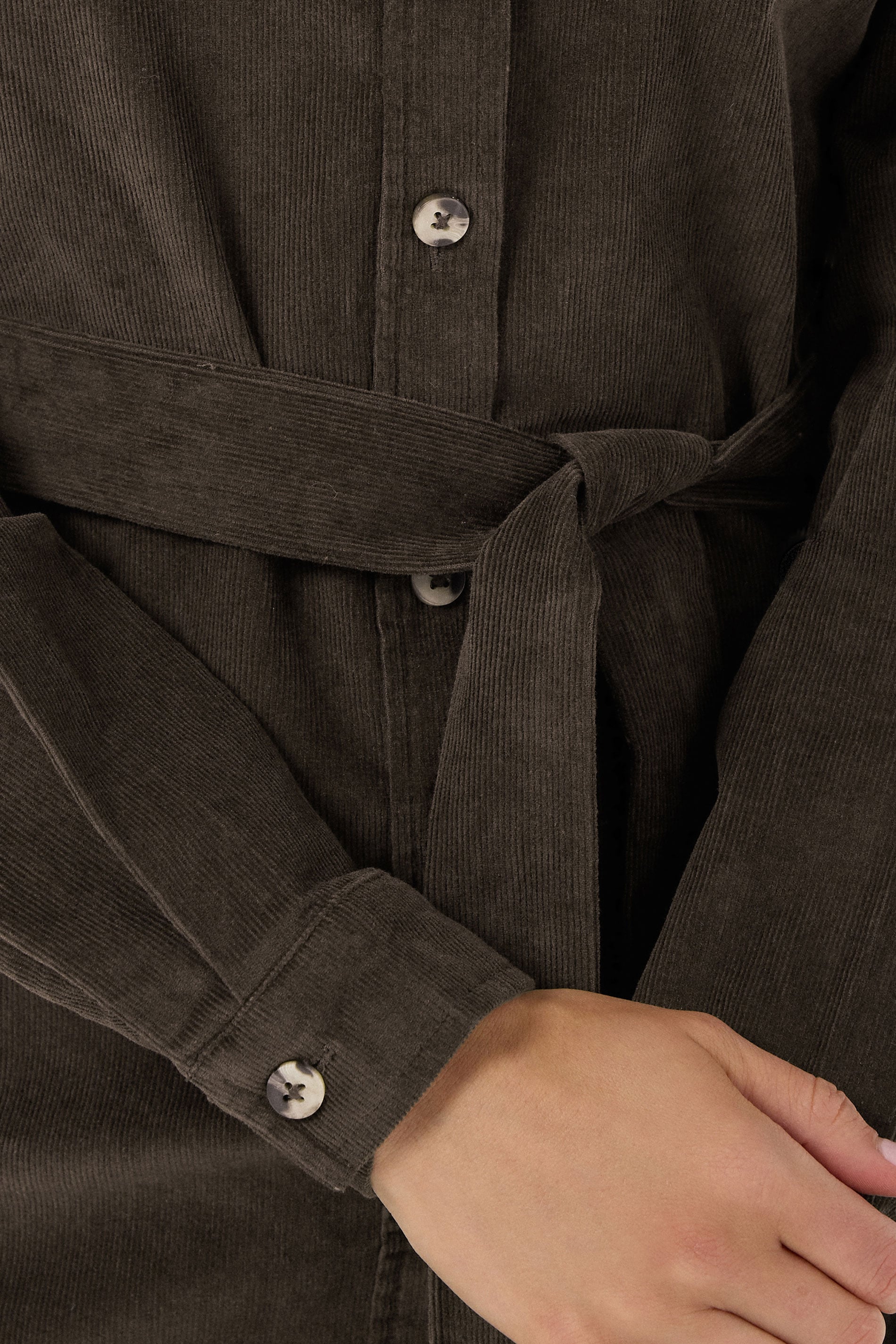  LTS Tall Chocolate Brown Cord Shirt Dress